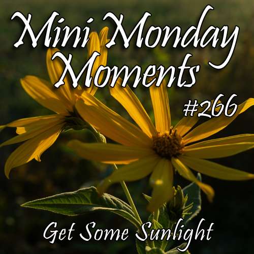 #266 – Get Some Sunlight