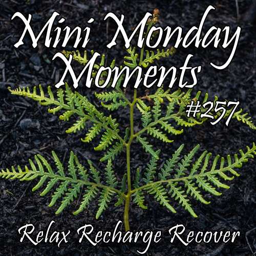 #257 – Relax Recharge Recover