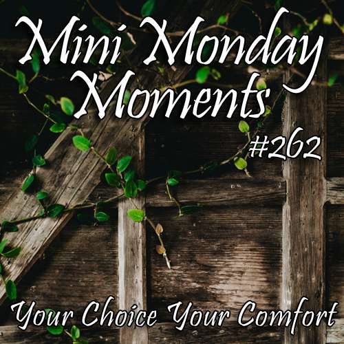 #262 – Your Choice Your Comfort