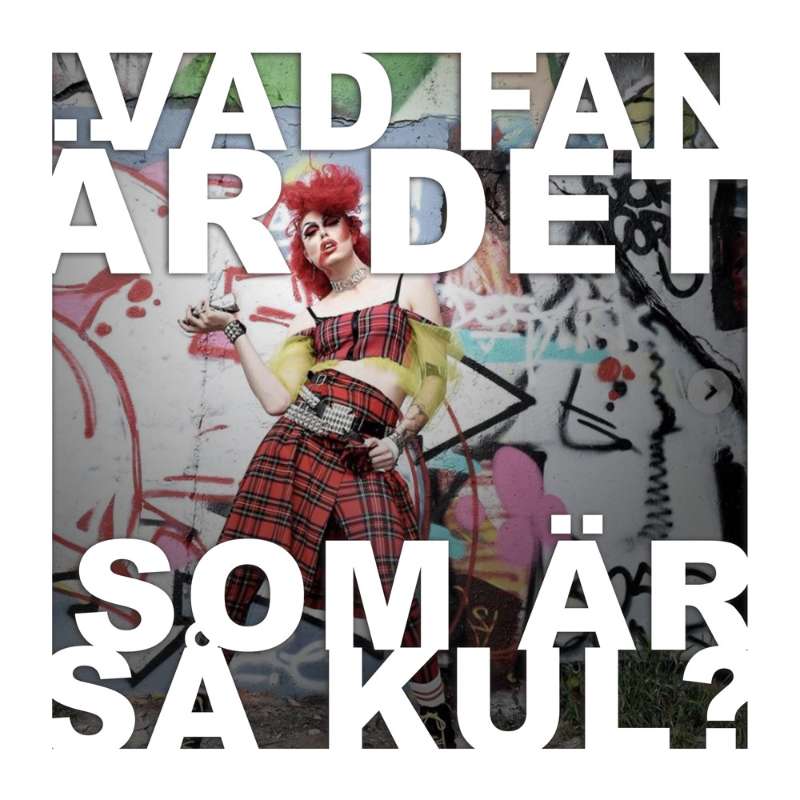Vad fan är det som är så kul?
