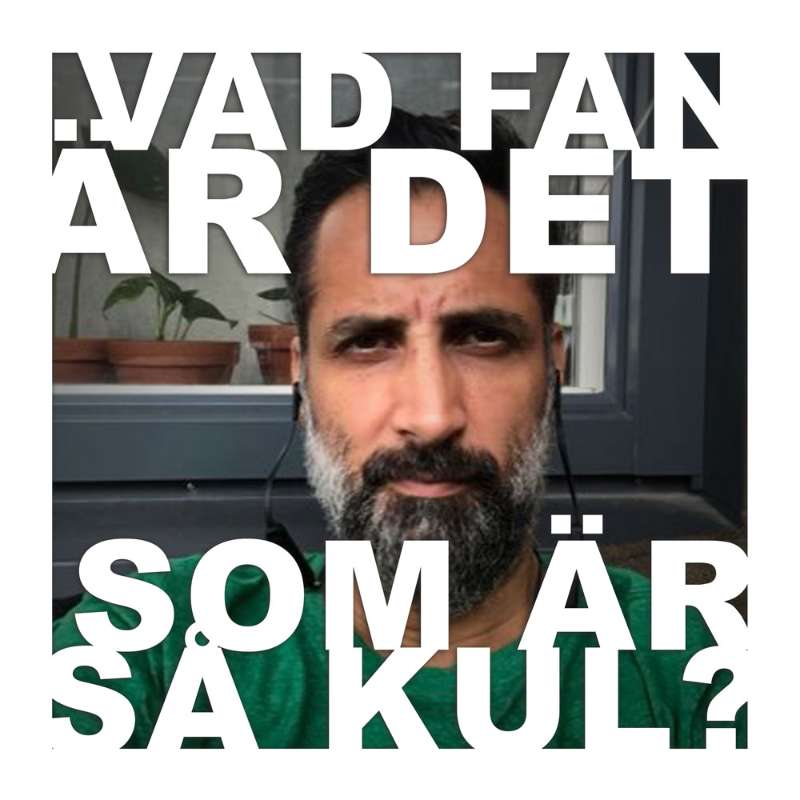 Vad fan är det som är så kul?