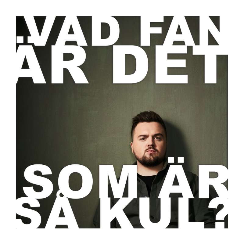 Vad fan är det som är så kul?