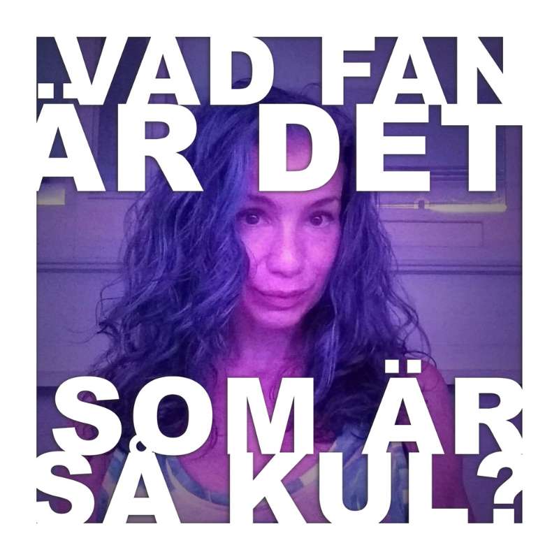 Vad fan är det som är så kul?