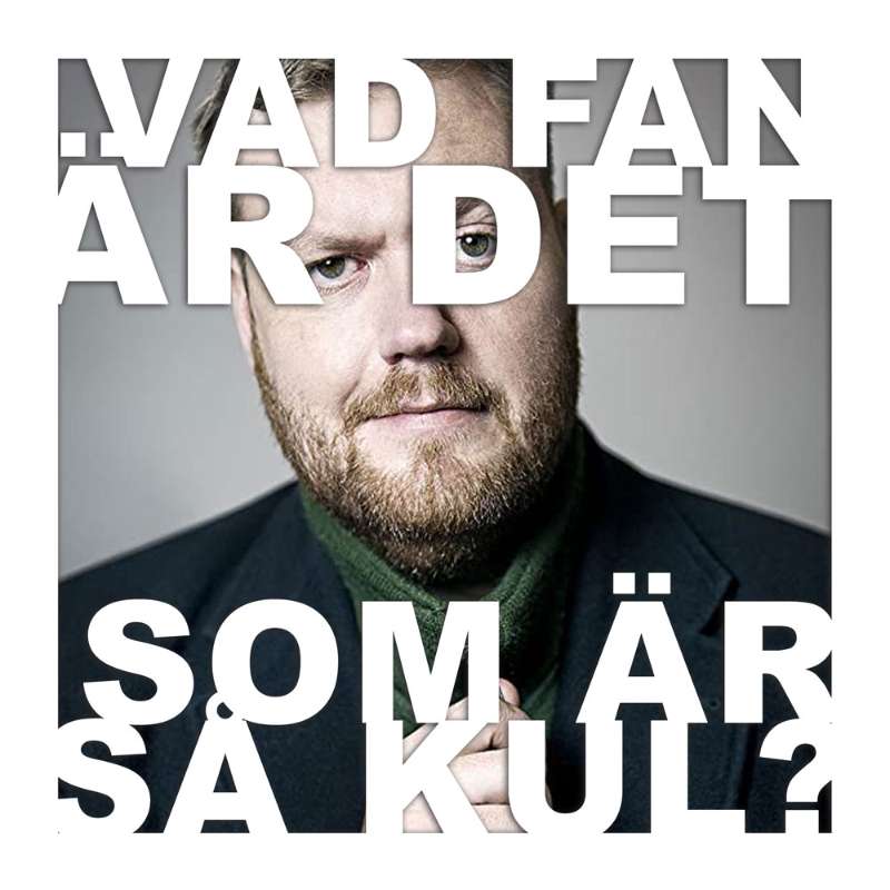 Vad fan är det som är så kul?