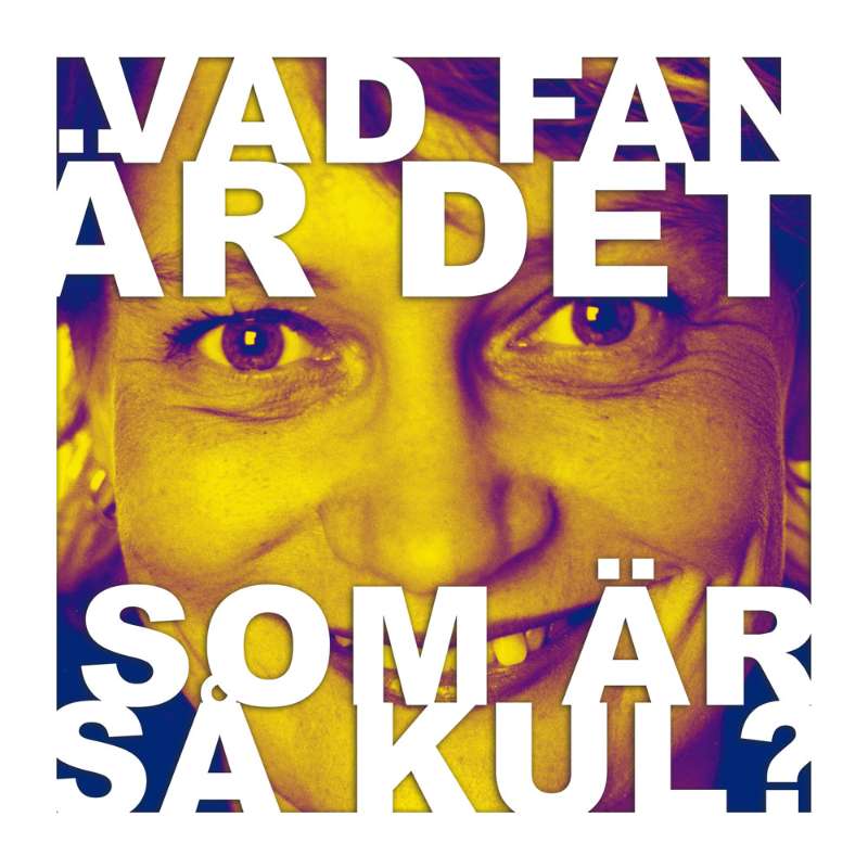 Vad fan är det som är så kul?