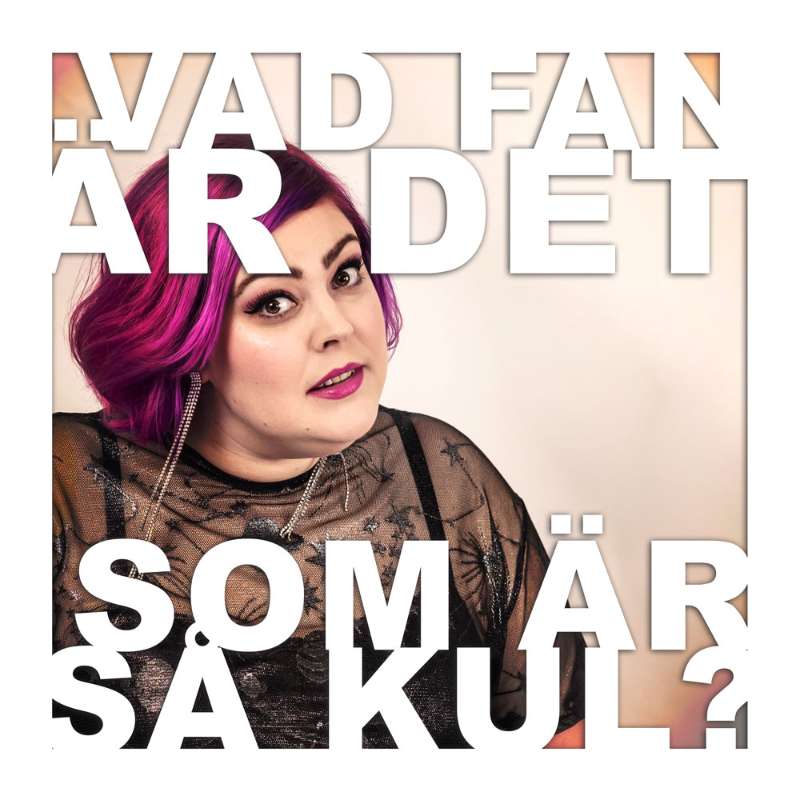 Vad fan är det som är så kul?
