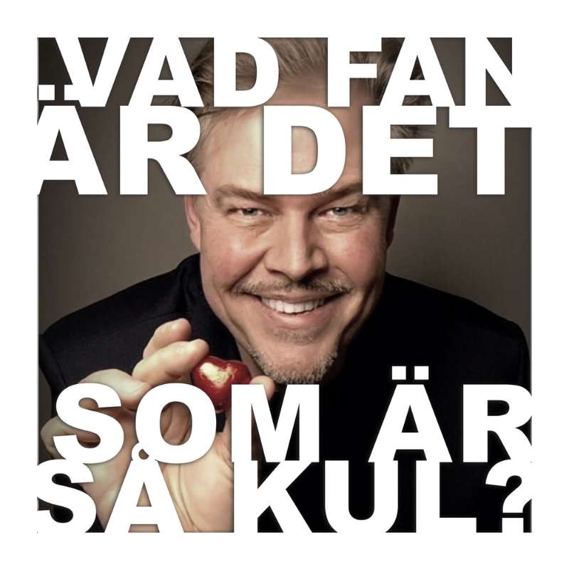 Vad fan är det som är så kul?