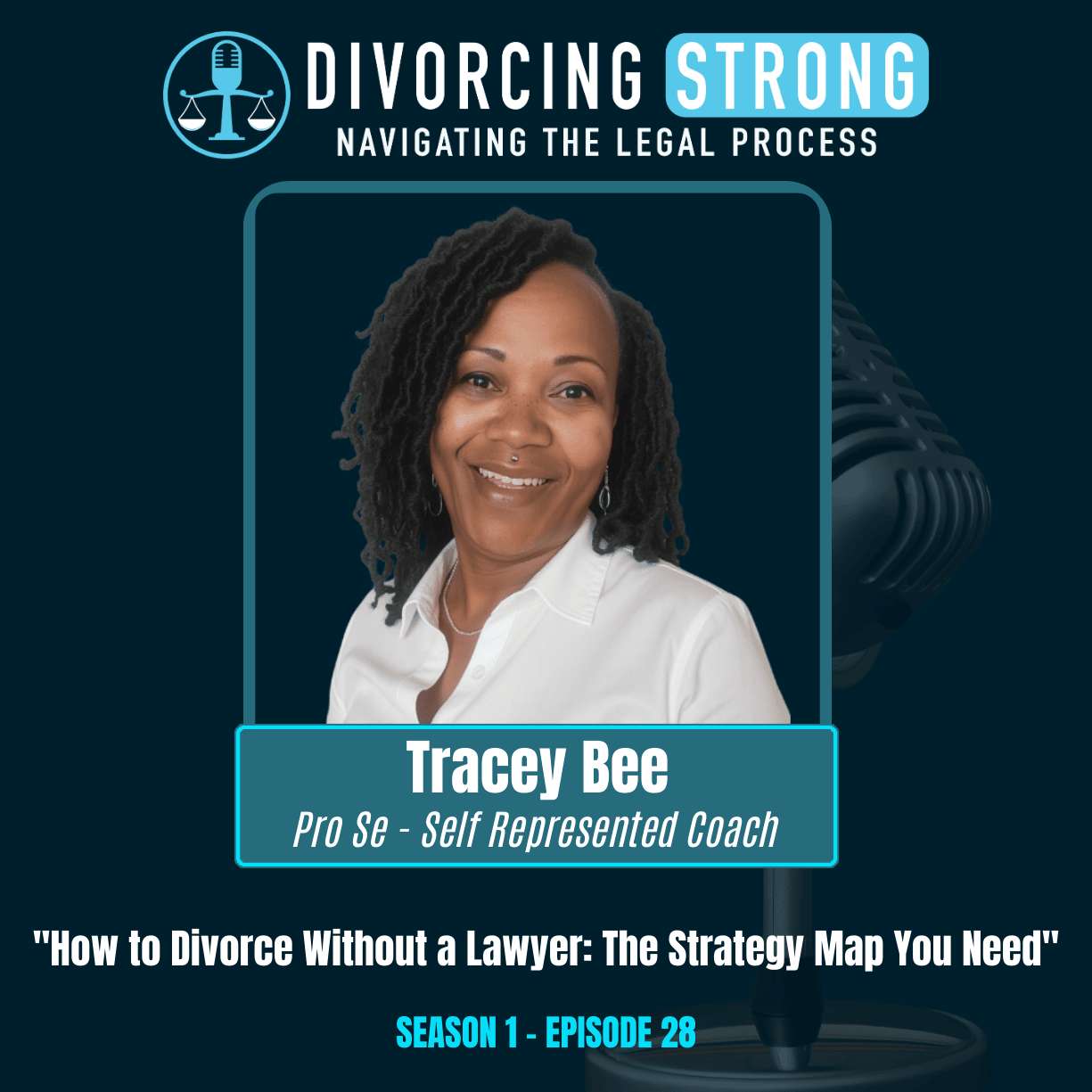 S1:E28 – Divorce Without a Lawyer: How to Win in Family Court, Child Custody Tips & What Your Attorney Won't Tell You with Tracey Bee, The Divorce Solutionist episode artwork