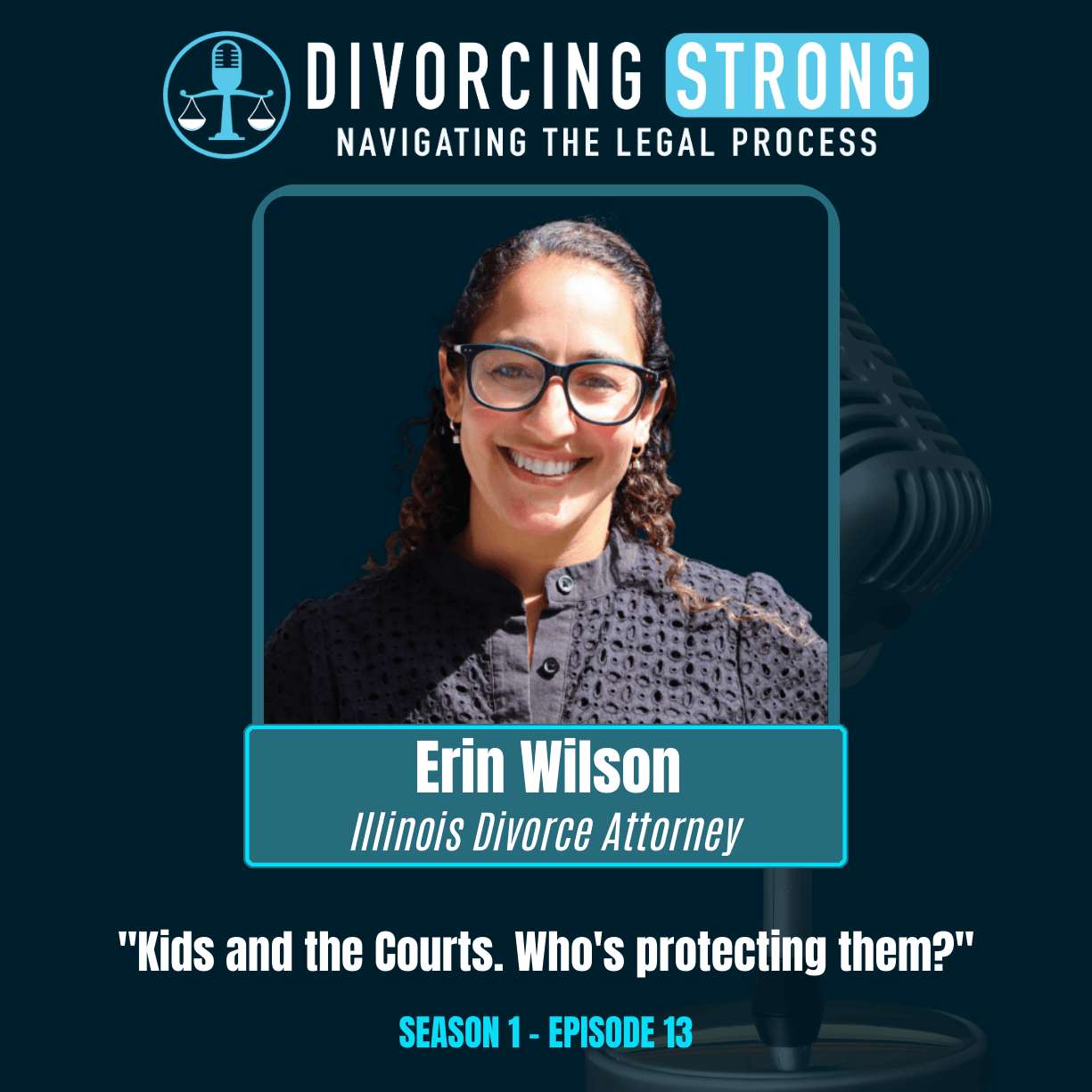 S1:E13 – ERIN WILSON "Kids and the Courts. Who's protecting them?" episode artwork