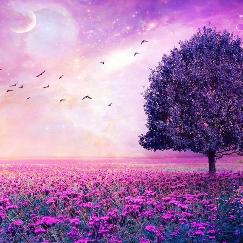 Ep.1 – 100% opuštajuće   Muhammad Al Muqit   Sura Ed-Duhan Dim   ᴴᴰ Surah Ad-Dukhan