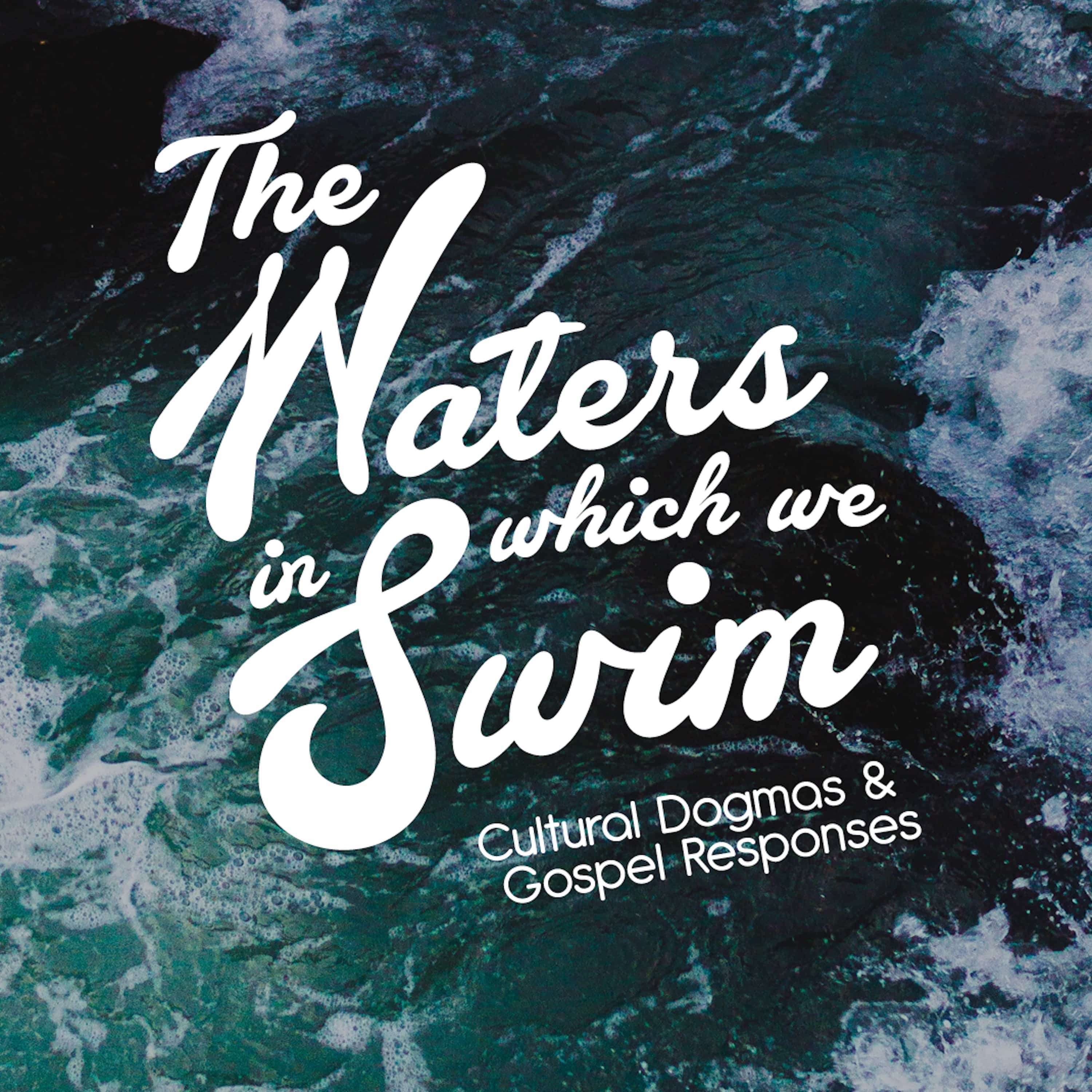 The History Narrative, The Waters In Which We Swim #5 | Steve Treichler episode artwork