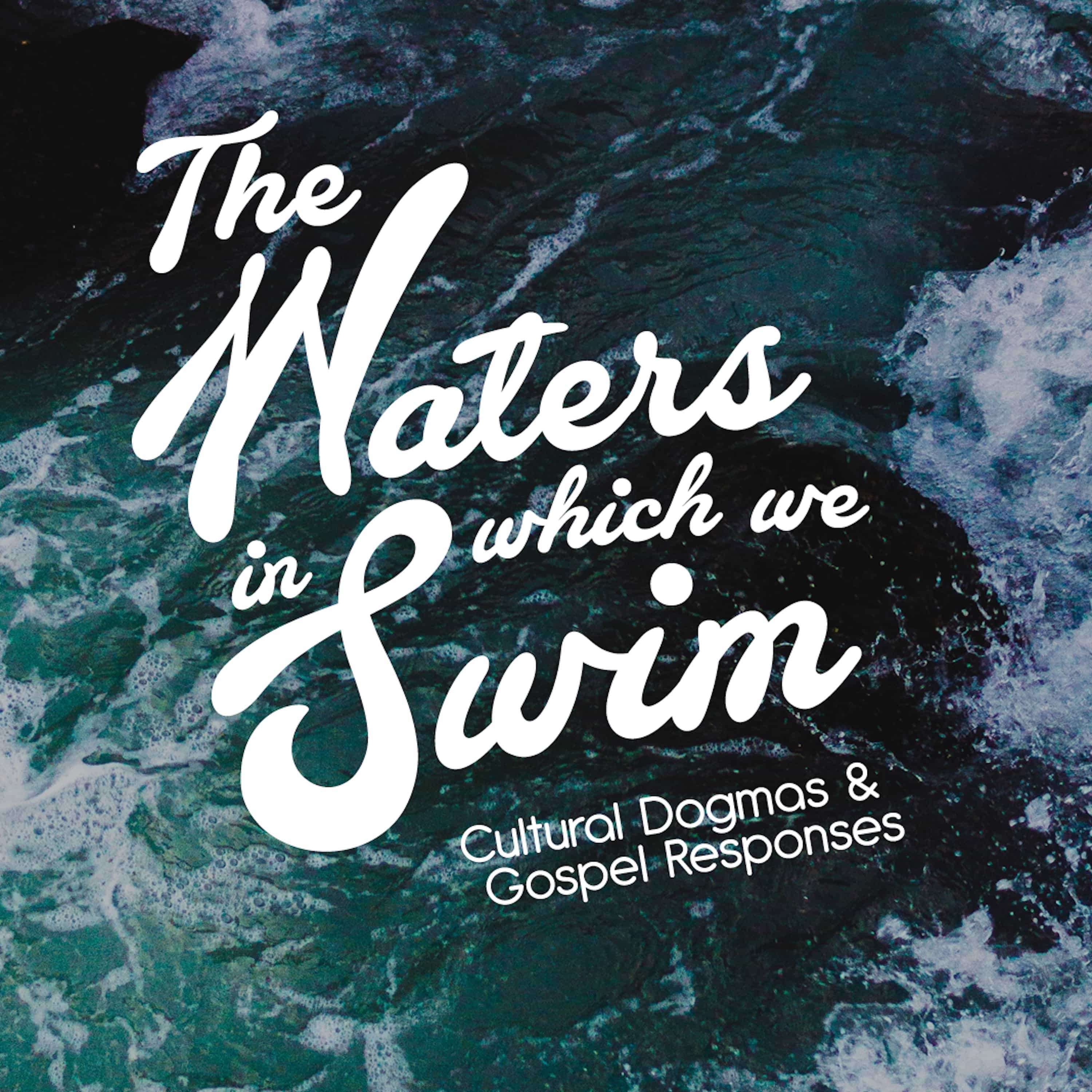 The Truth Narrative, The Waters In Which We Swim #4 | Steve Treichler episode artwork