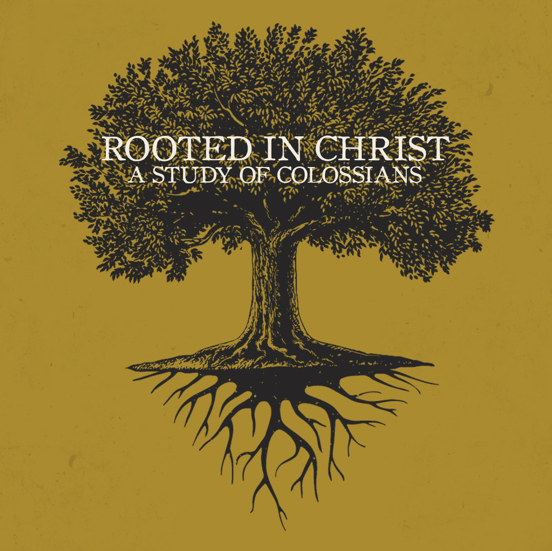 Colossians #20 - The Rooted Life: The Clothing Swap of Being Rooted in Jesus episode artwork