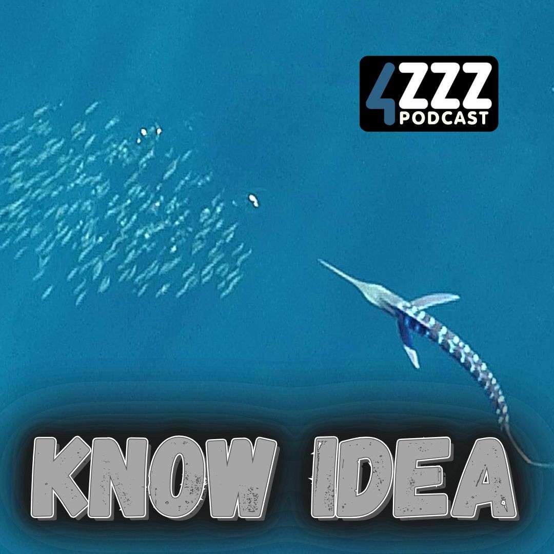 Know Idea