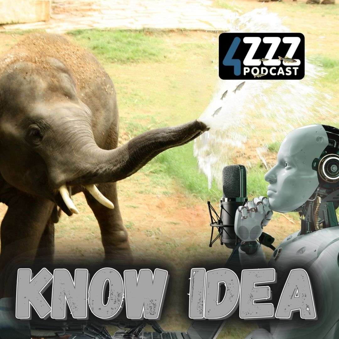 Know Idea