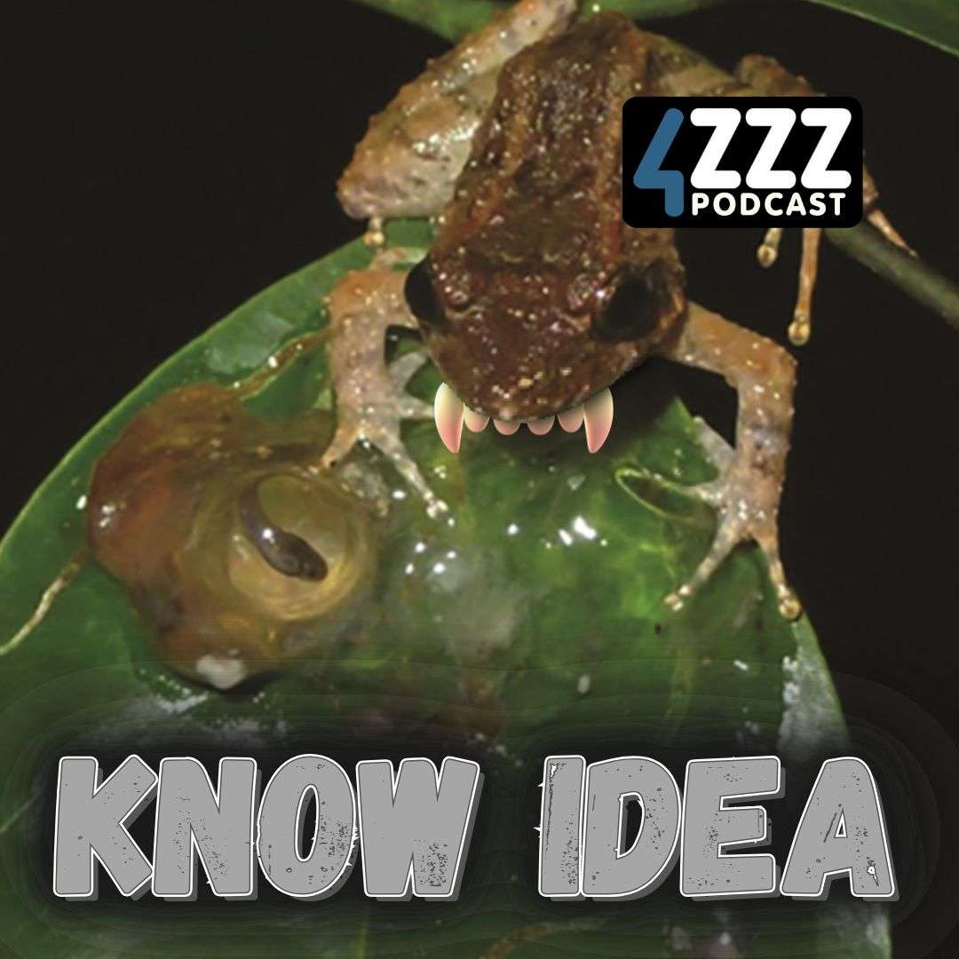 Know Idea