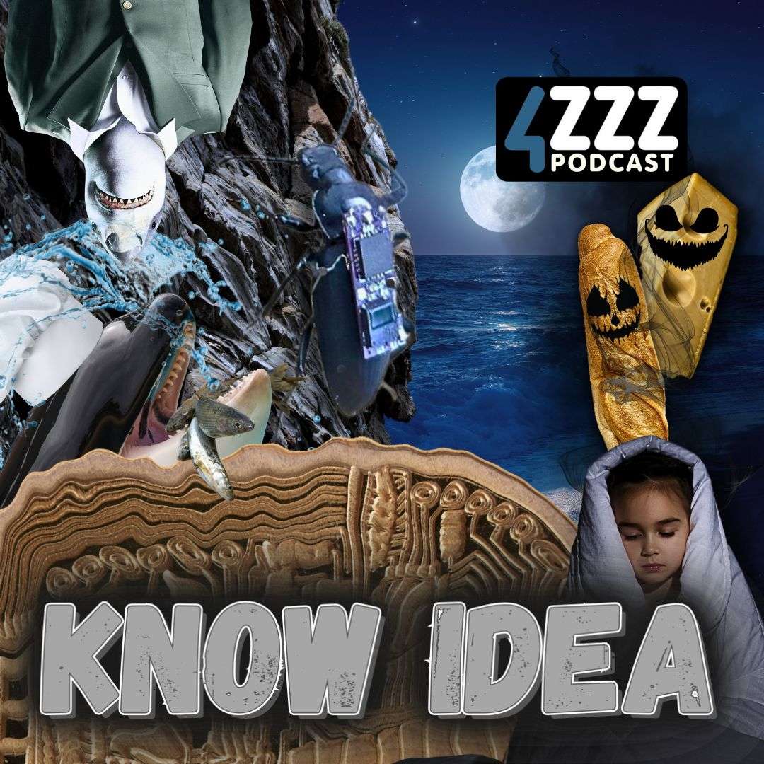 Know Idea