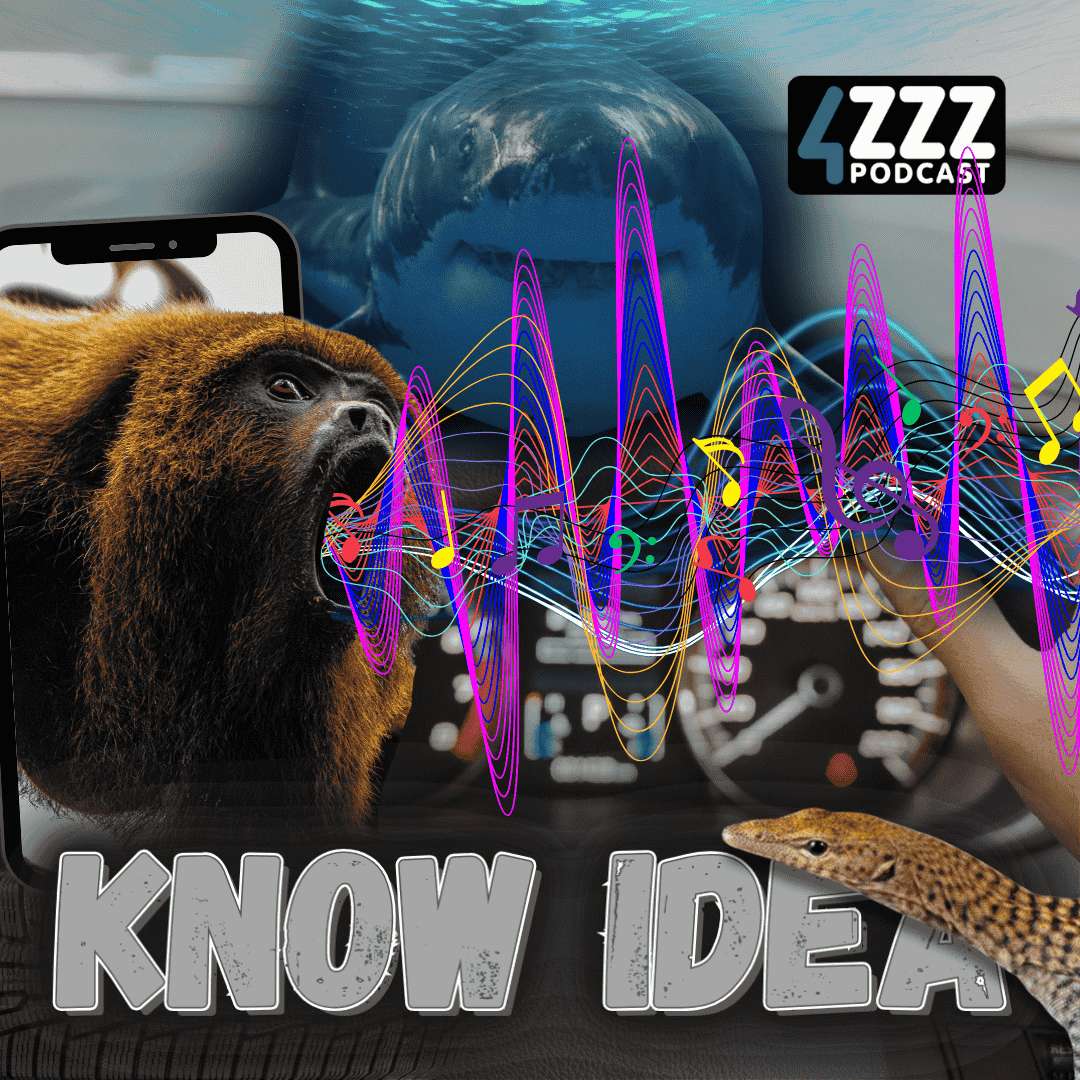 Streamin', Screamin', and Jivin' to the Rhythm.