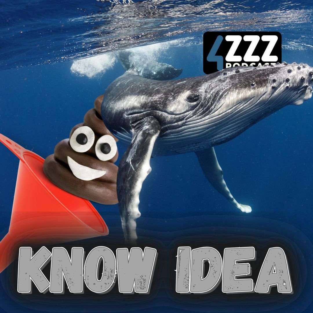 Know Idea