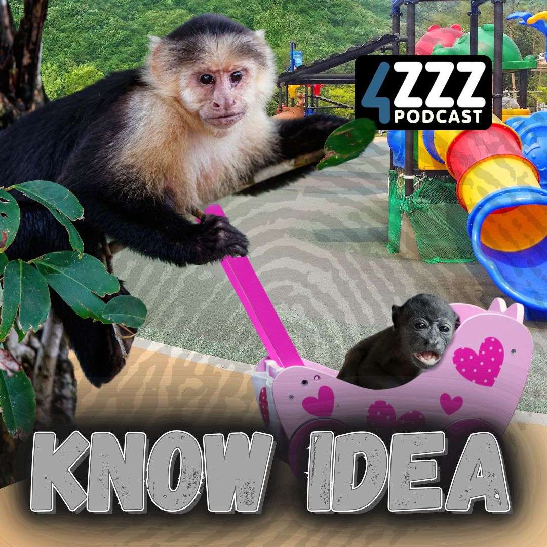Know Idea