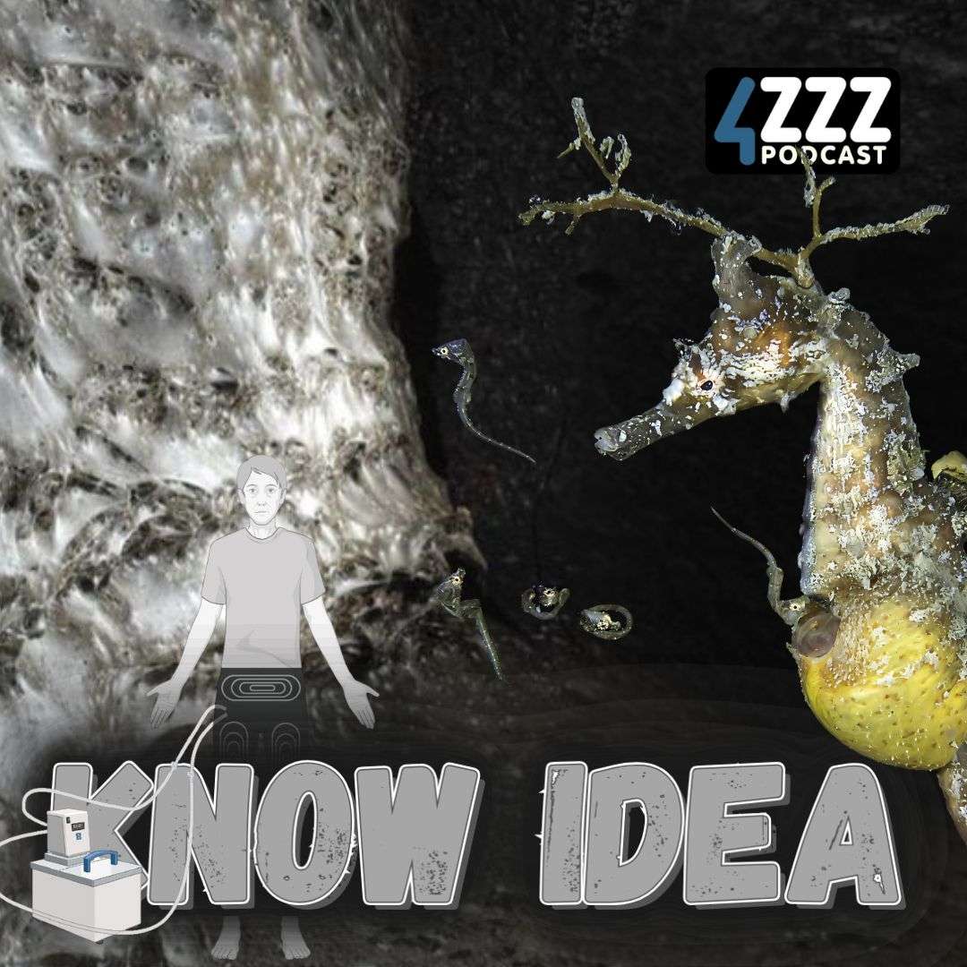 Know Idea