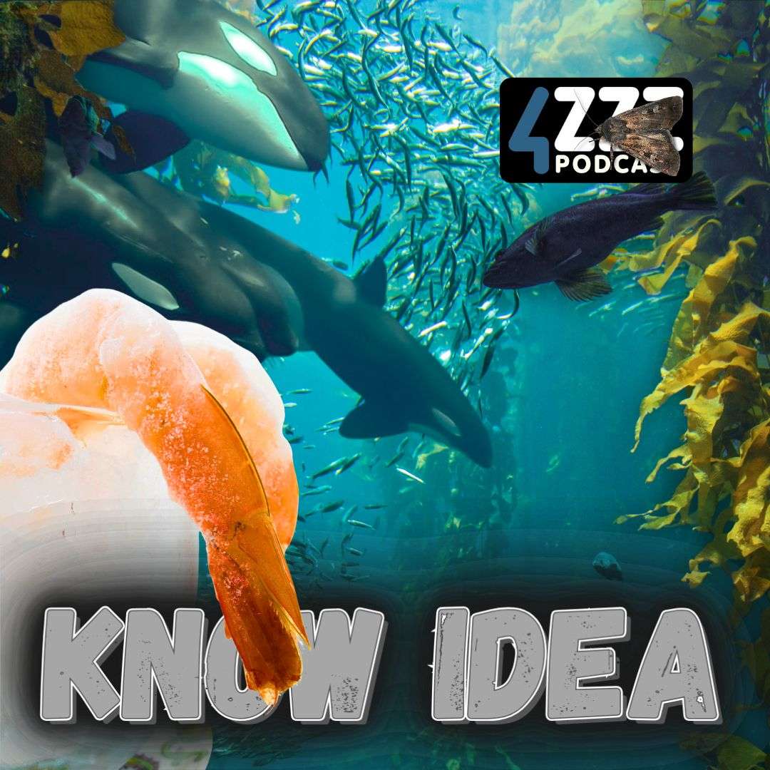 Know Idea