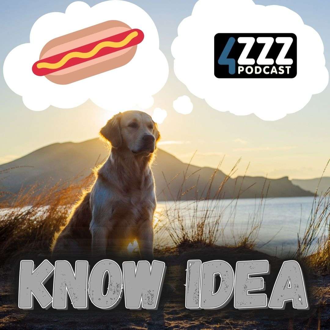 Know Idea