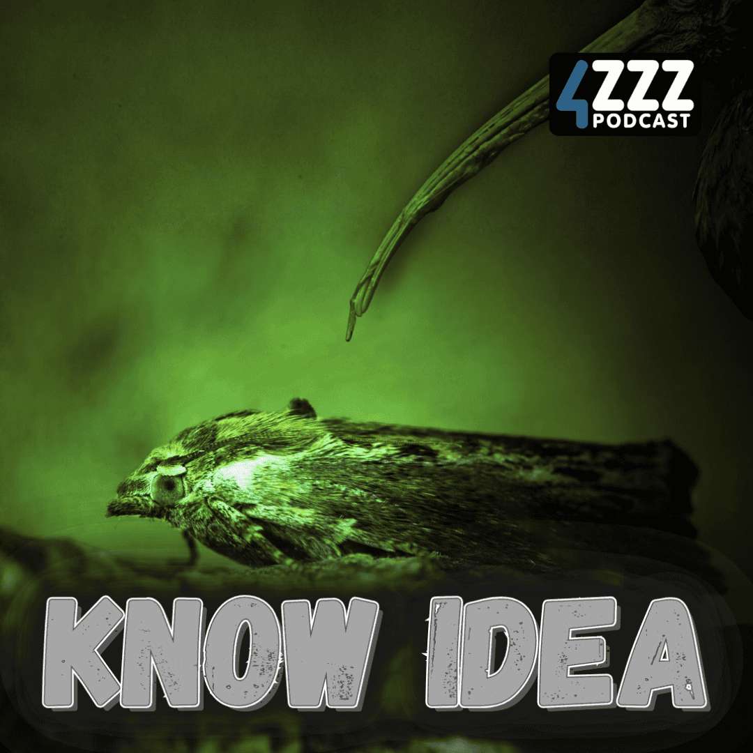 Glowing Measures of Inaction