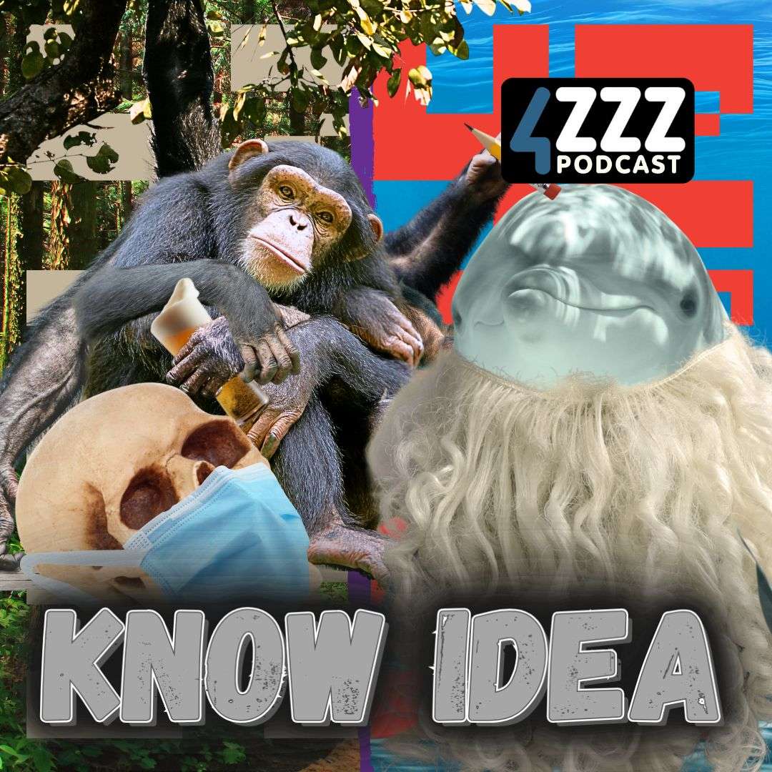 Know Idea