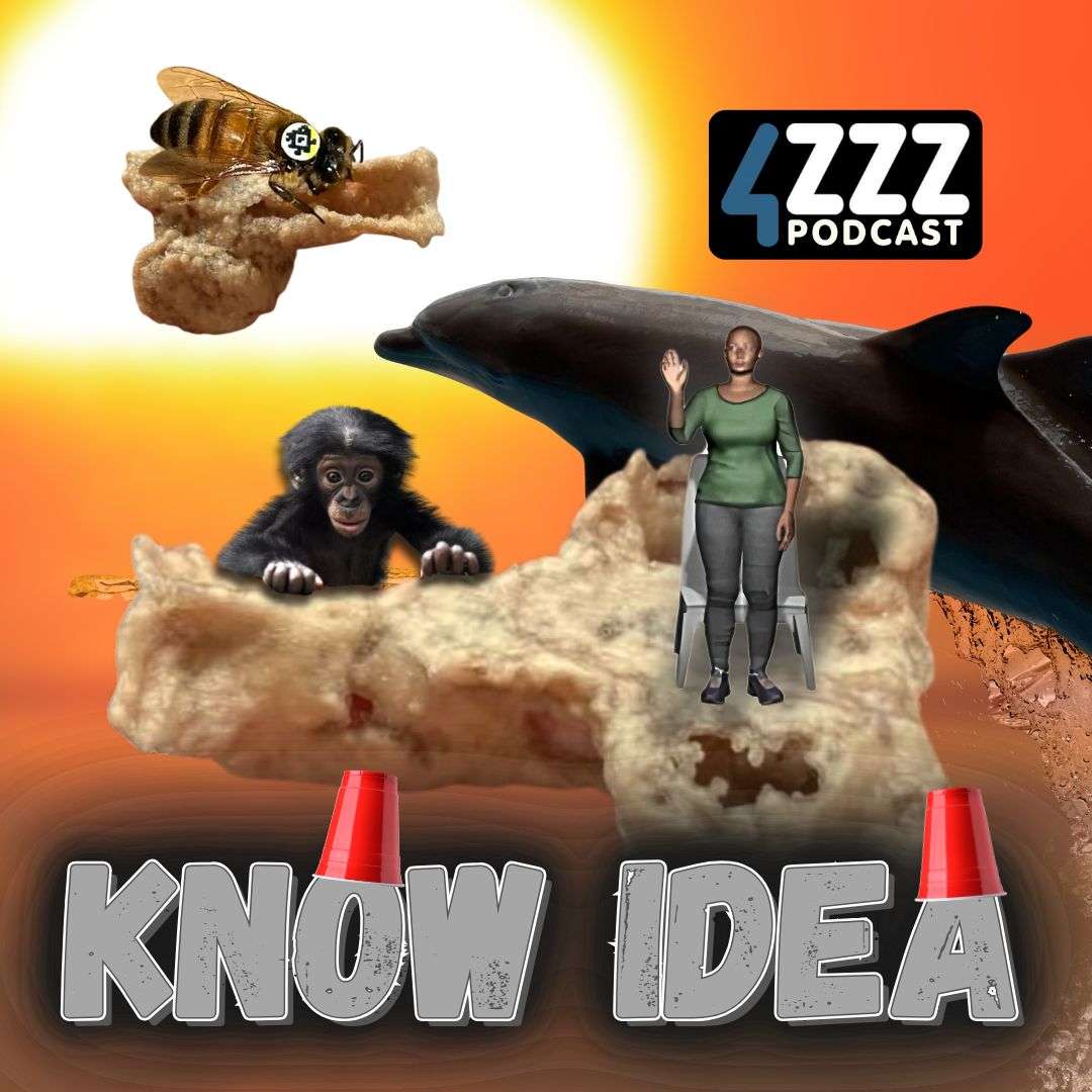 Know Idea