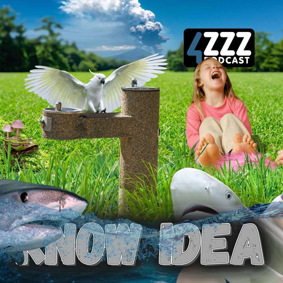 Know Idea