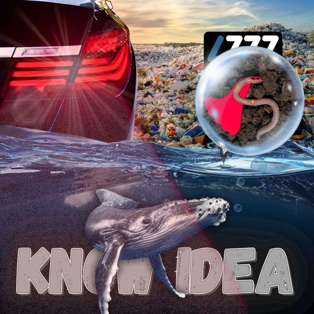 Know Idea