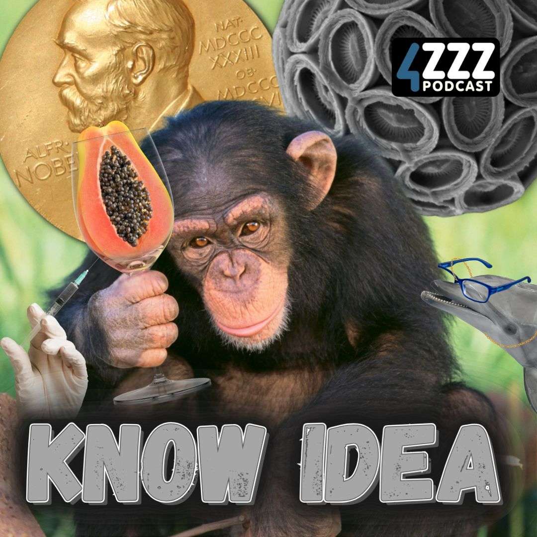 Know Idea