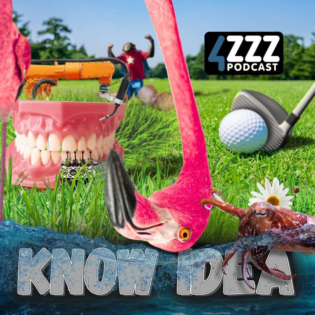 Know Idea