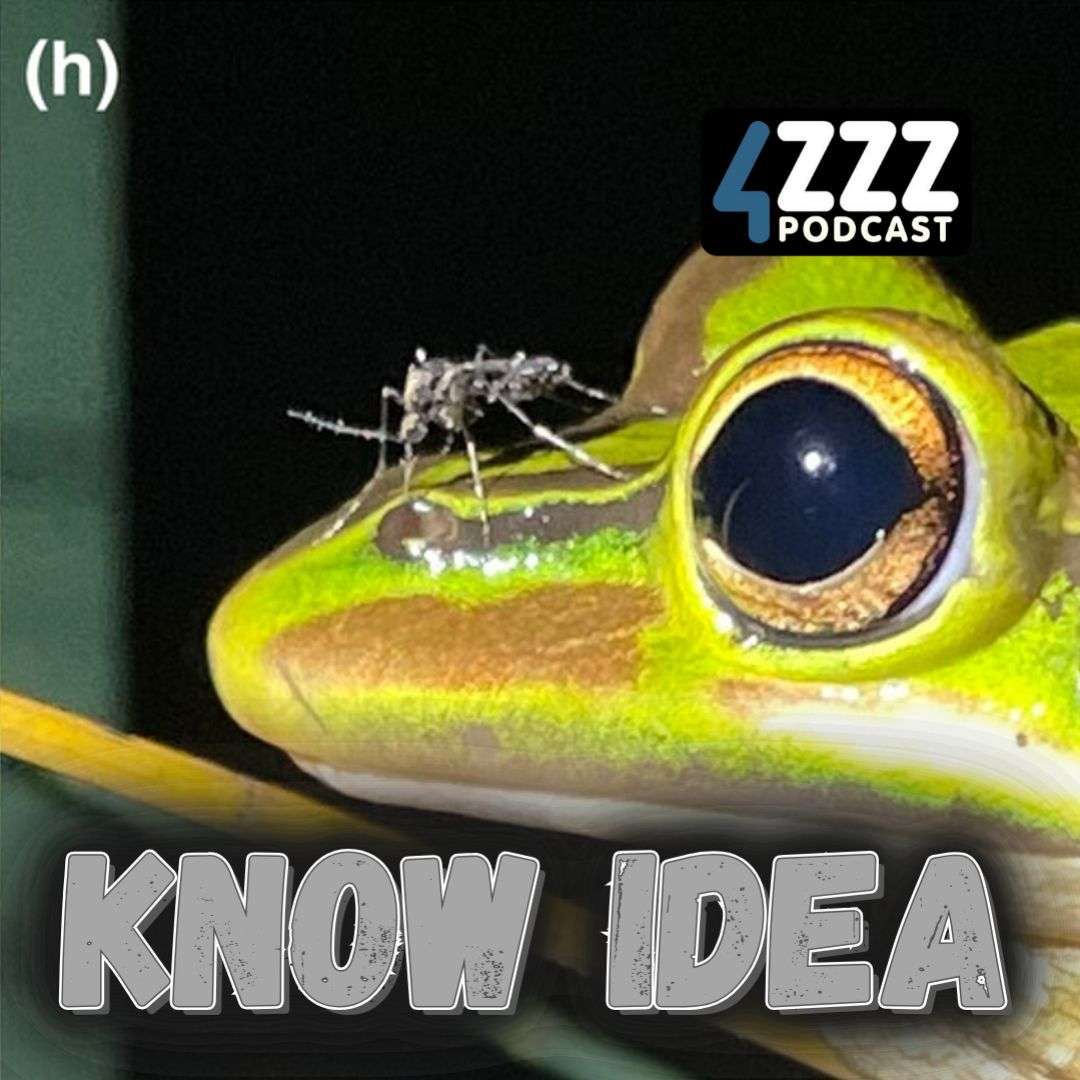 Know Idea