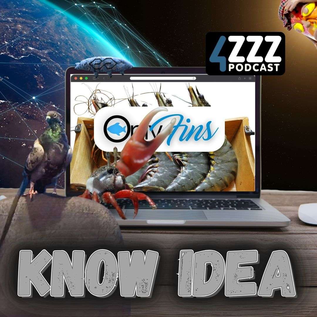 Know Idea