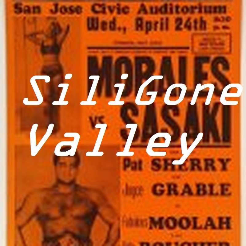 SiliGone Valley