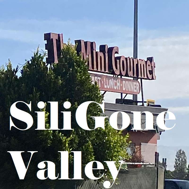 SiliGone Valley