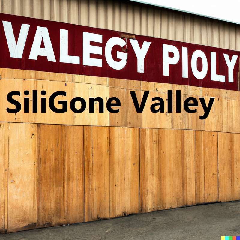 SiliGone Valley