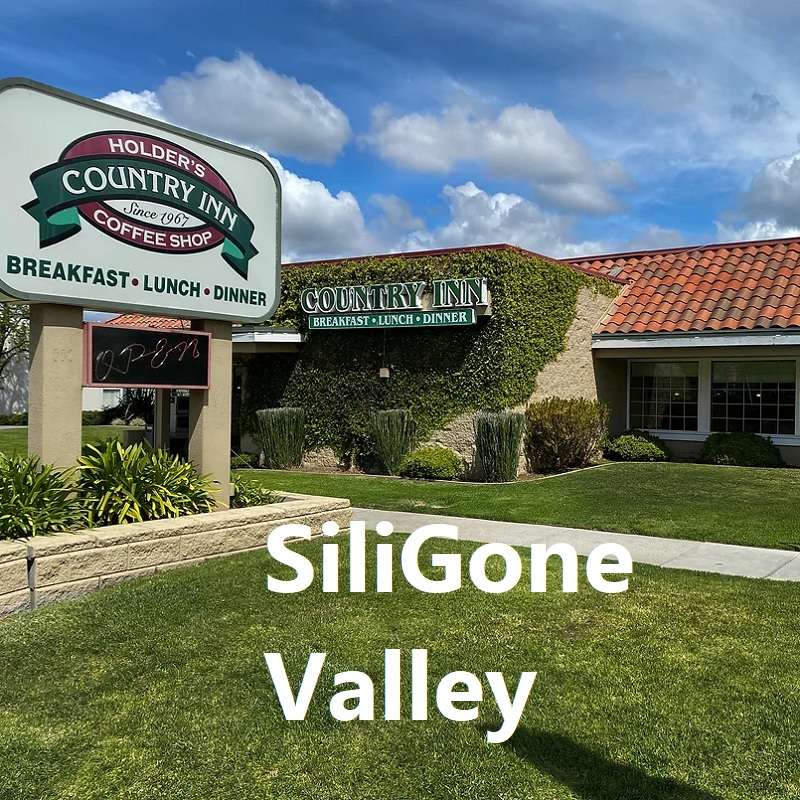 SiliGone Valley