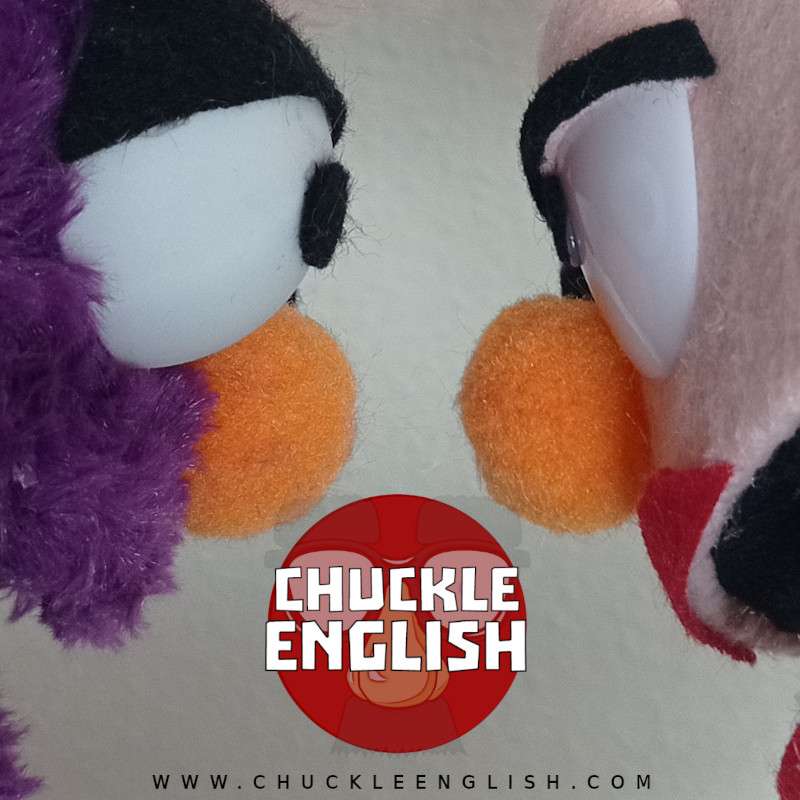 S1E62 - Check out our daily fun videos for learning English S1E62 - Check out our daily fun videos for learning English