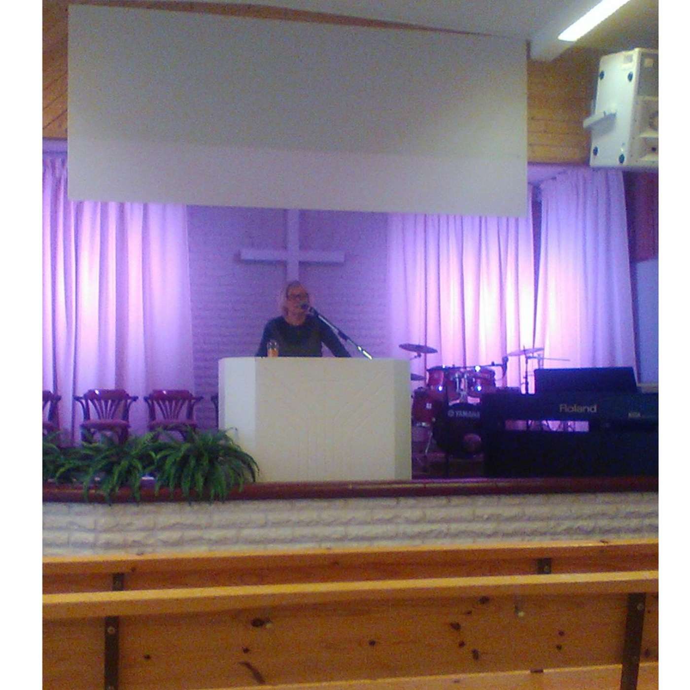 Menoran sanoma… Liisa Finch_11.1.2026