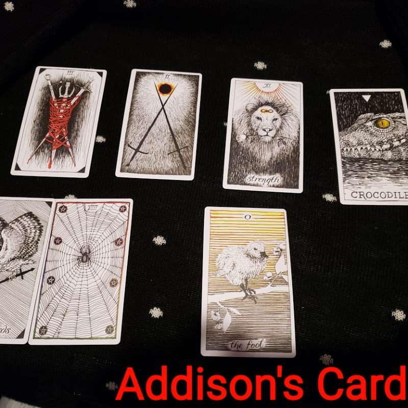 Addison Peacock