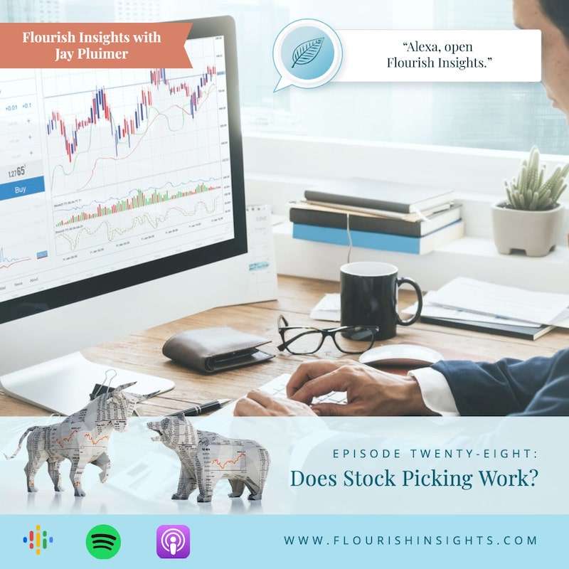 Episode 28: Does Stock Picking Work? episode artwork