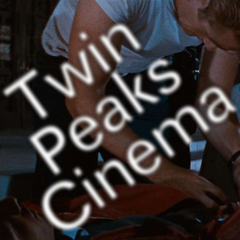 S5E2 - Rebel Without a Cause (Ray's haunted fifties #2)