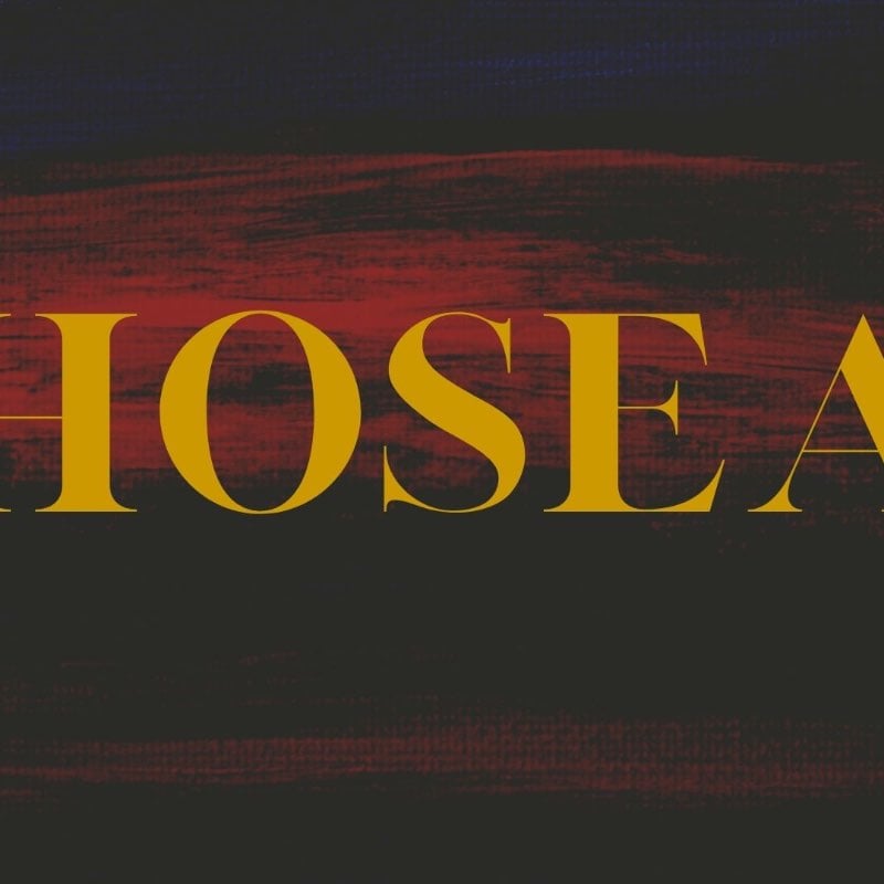 Intro to Hosea's Wedding episode artwork