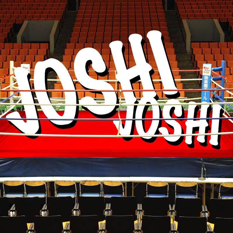 Episode 12 - Joshi Travel Guide Episode 12 - Joshi Travel Guide