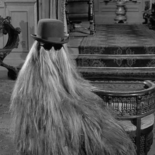 77 Hair