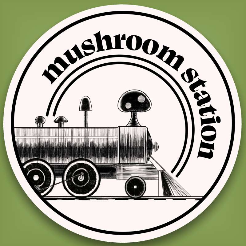 ARTIFICIAL GHOST RADIO