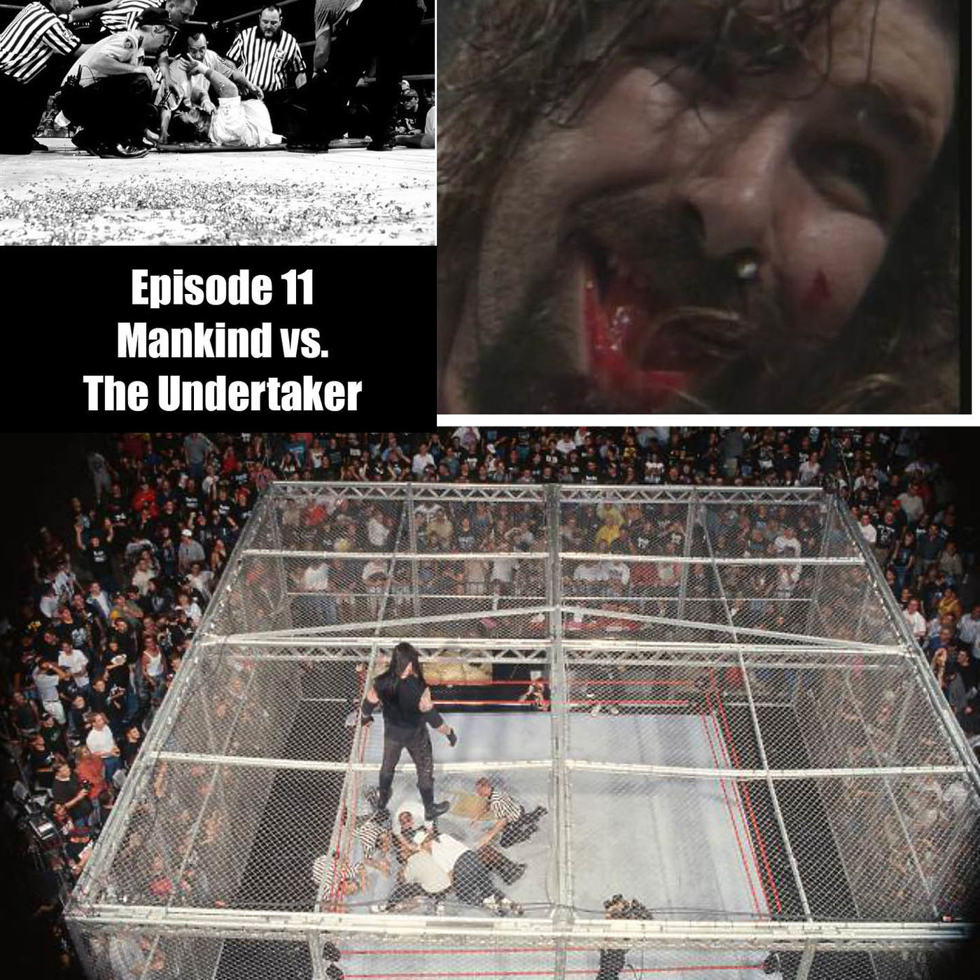 Undertaker vs. Mankind - Hell in a Cell